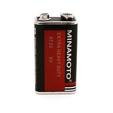 Э\п Minamoto 6F22 крона